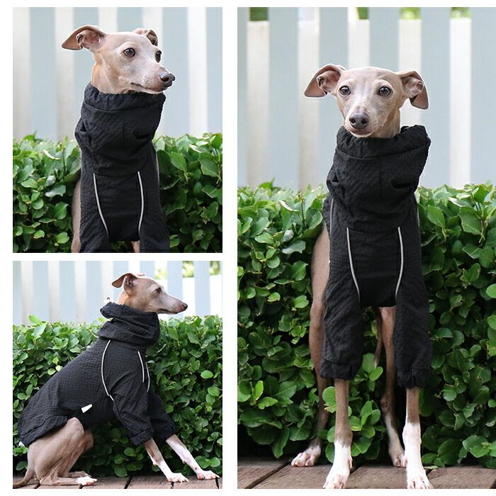 犬用品 【2XLサイズ】イタグレ 撥水 ジャケット アウター イタグレ服