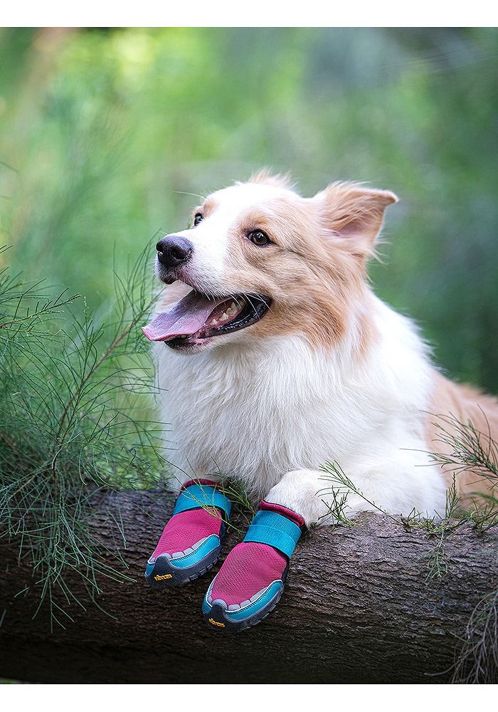 True love 犬 靴 XXS 4足セット Vibram sole 30％OFF】犬 靴 Vibram