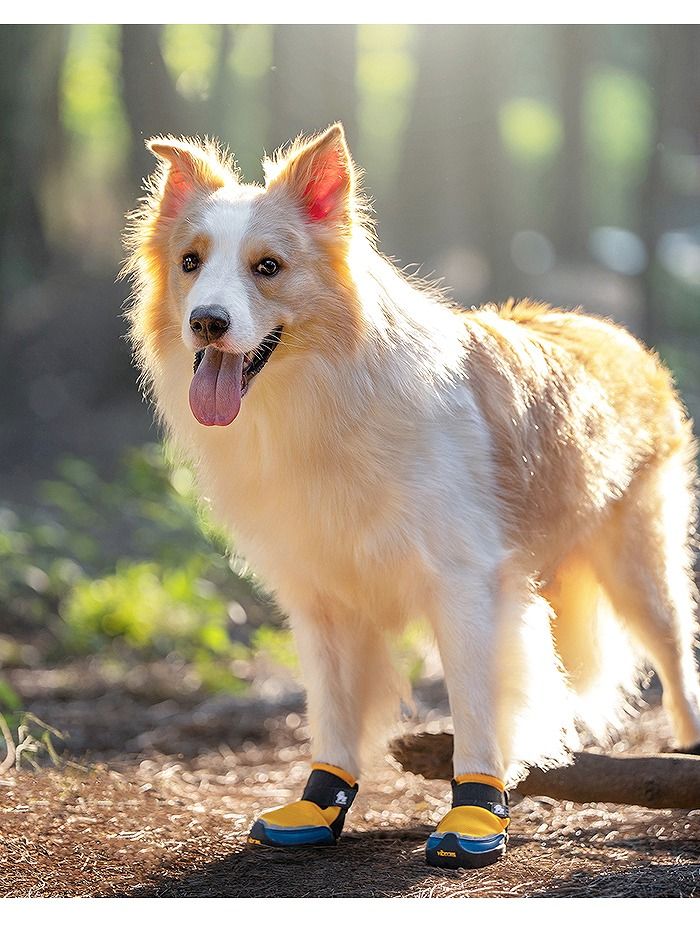 True love 犬　靴　XXS 4足セット　Vibram sole 犬用品 True love 犬 靴 XXS 4足セット Vibram sole