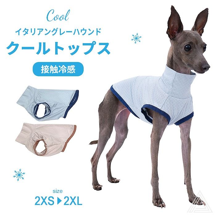 ライトブルー】【送料無料】イタグレ 服 接触冷感 ひんやり