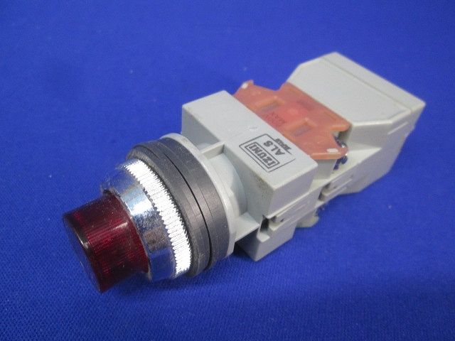 ドバイ】 24K ゴールド フォイル 星座 双子座/Gemini