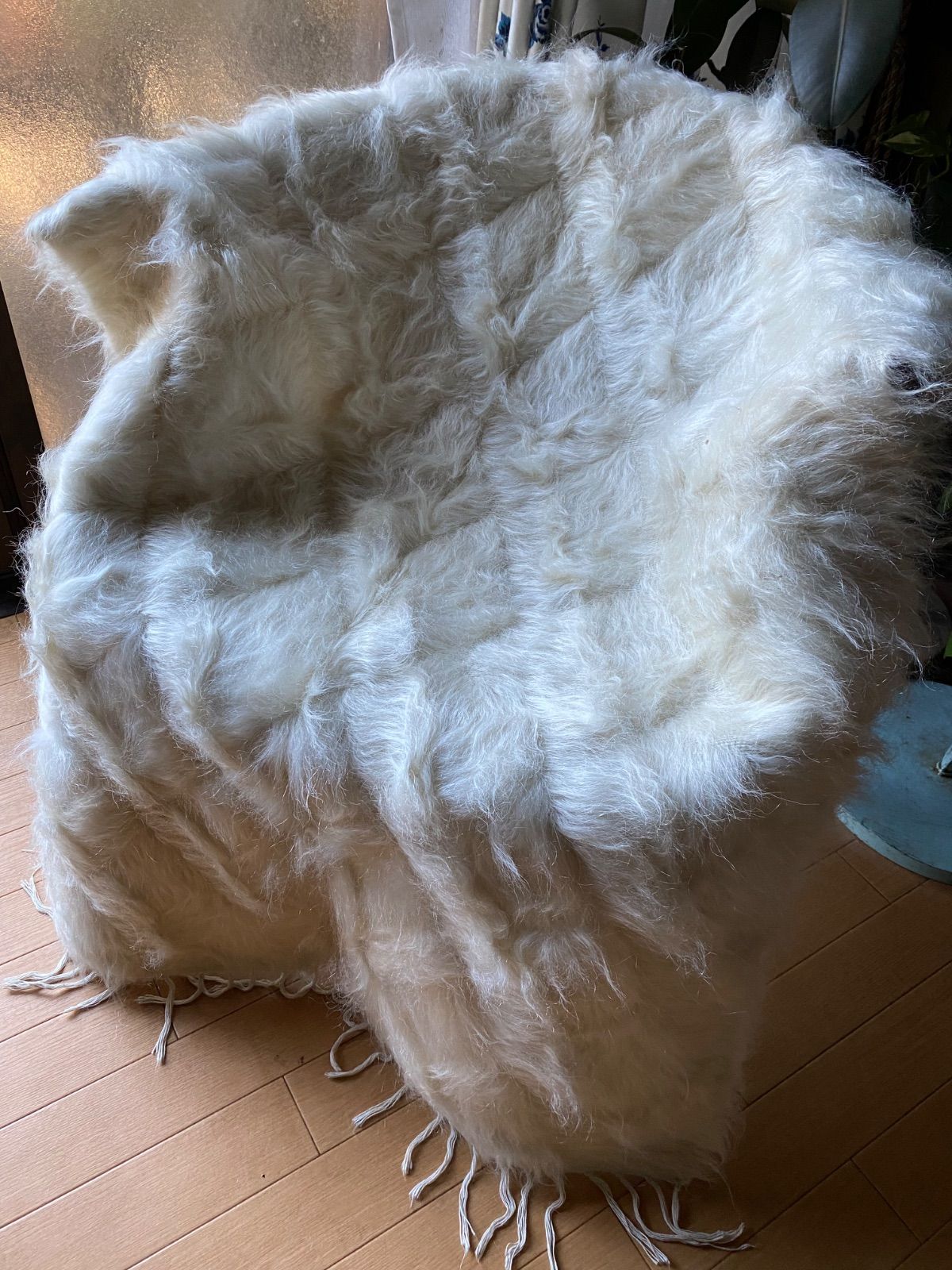 ヴィンテージ大人気の白のシイルトバッタニイェ！このサイズだけど