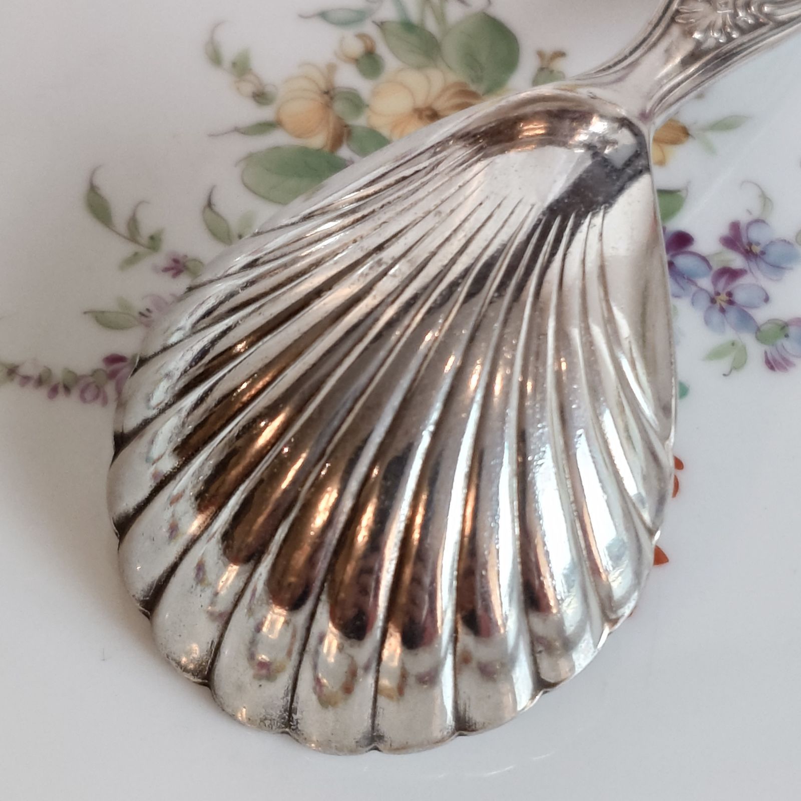 イタリア製 ティーキャディースプーン シルバープレート シェル - メルカリ