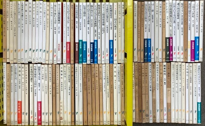 岩波新書関係 まとめて100冊以上 日本人と近代科学 脳を育てる イギリスと日本 DNAと遺伝情報 他