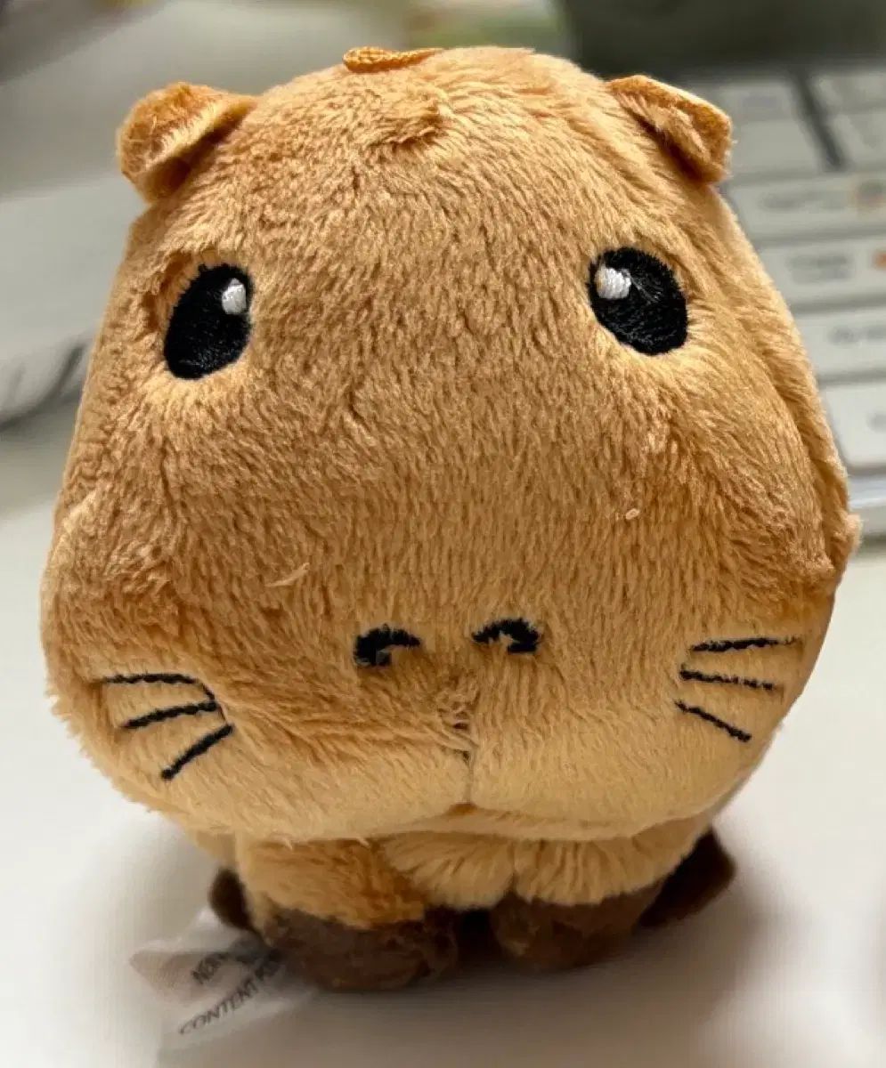 Story of seasons カピ モルモット ぬいぐるみ NCT エヌシーティー WIND AND WISH リー ク