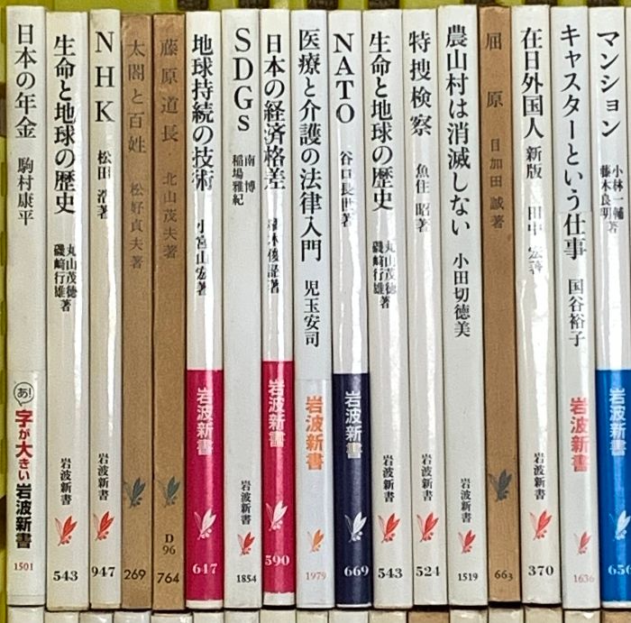 岩波新書関係 まとめて100冊以上 日本の年金 サンタクロースの大旅行 自由と国家 インドで考えたこと 他