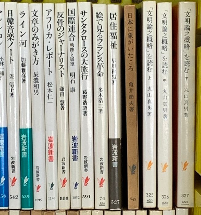  岩波新書関係 まとめて100冊以上 日本の年金 サンタクロースの大旅行 自由と国家 インドで考えたこと 他 文学 小説 本