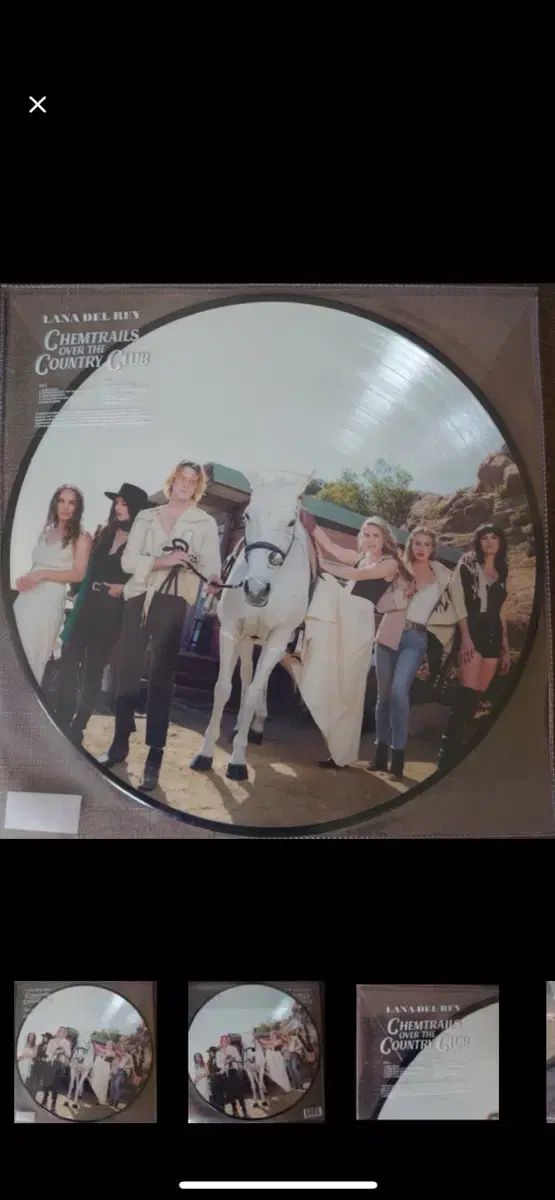 ラナ デル レイ Chemtrails Picture Disc 記録