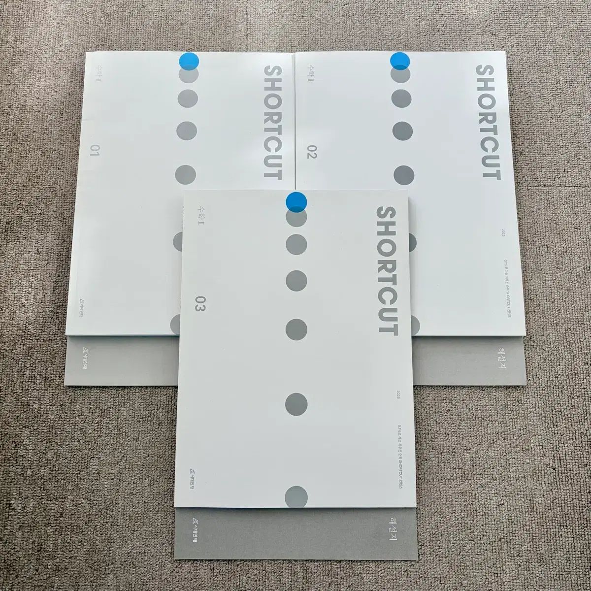 伊藤百花 AKB48 武道館20周年LIVE チャンスくじD賞 サイン入りチェキ