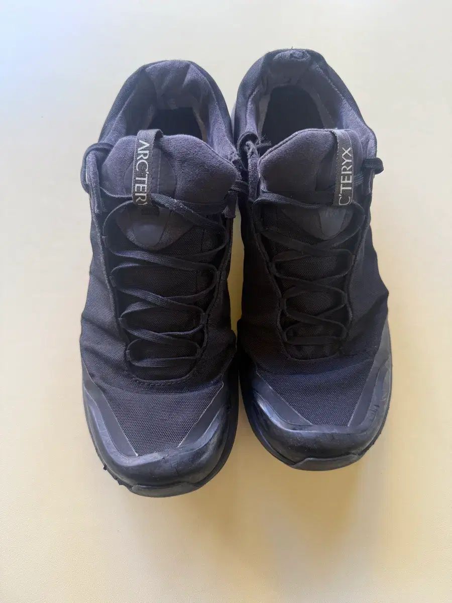 アークテリクス エアリウスfl 265