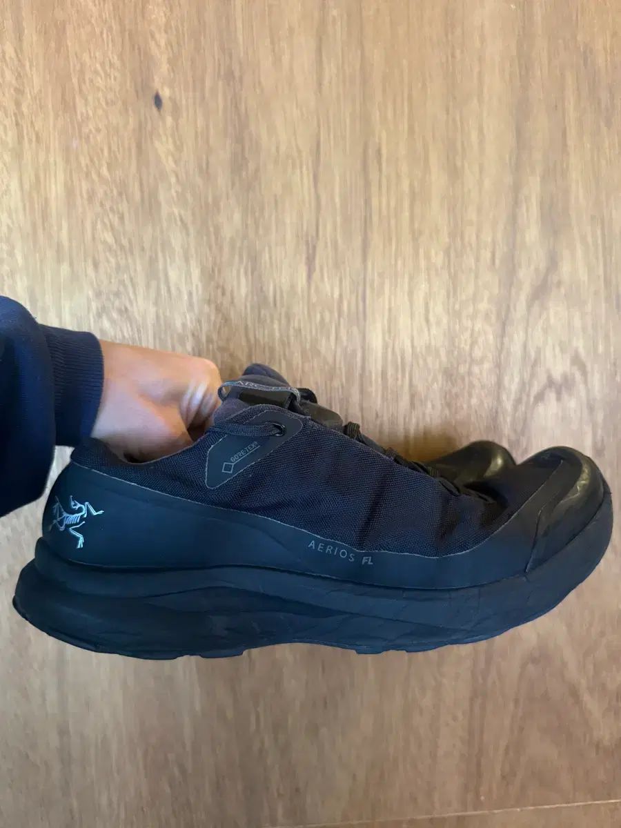 アークテリクス エアリウスfl 265