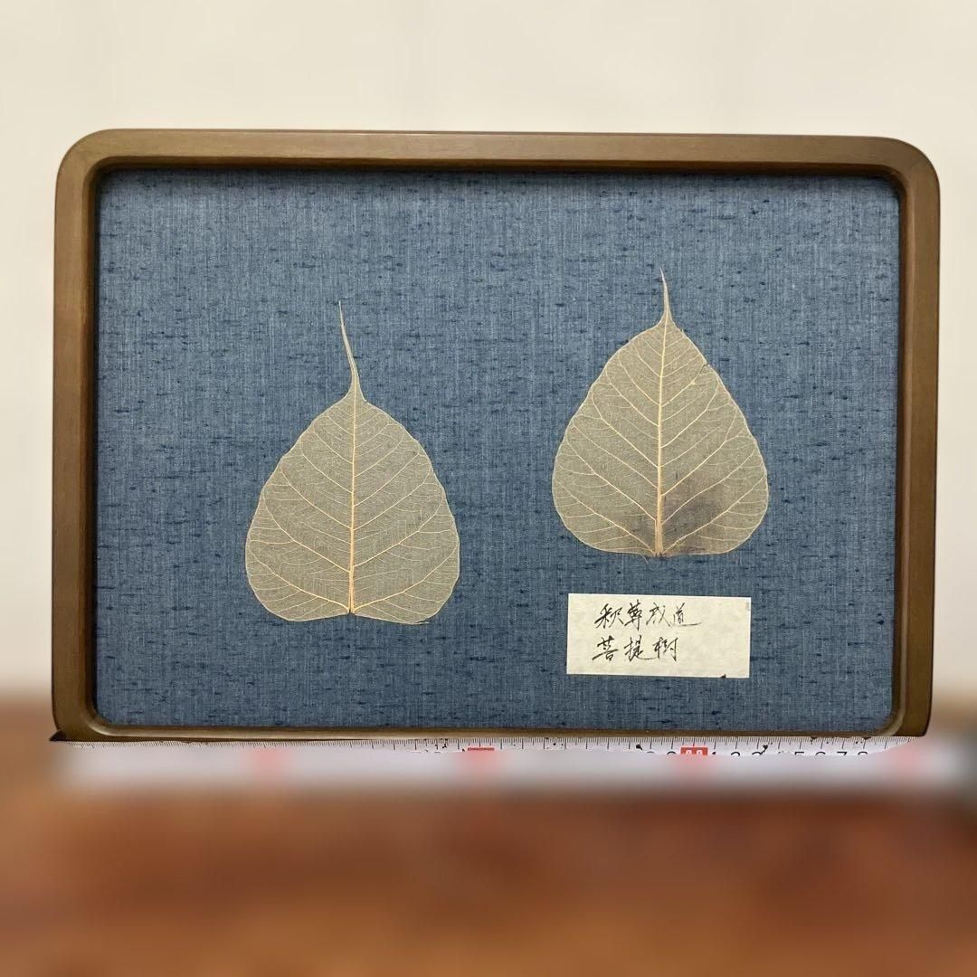 葉脈標本】釈尊成道 菩提樹 額装／和紙工芸 インテリア 民藝 ｜雑貨屋