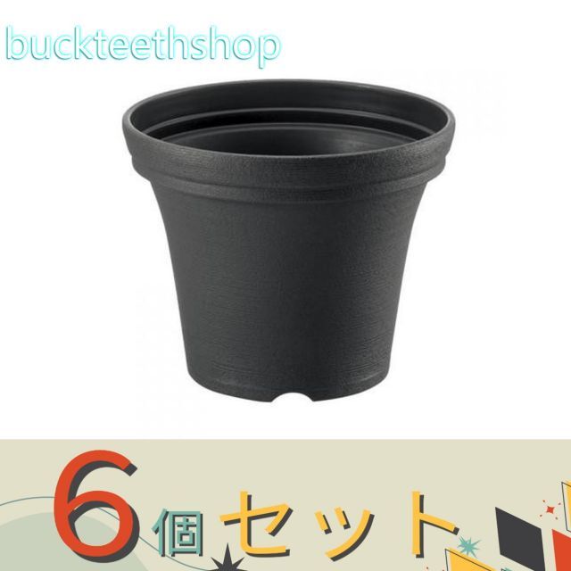 エボルヴ ケルベロス UR 3枚