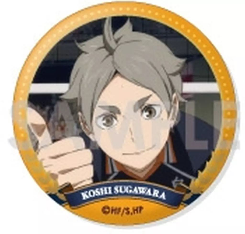 中古】バッジ・ビンズ 菅原孝支 「ハイキュー!! トレーディング缶