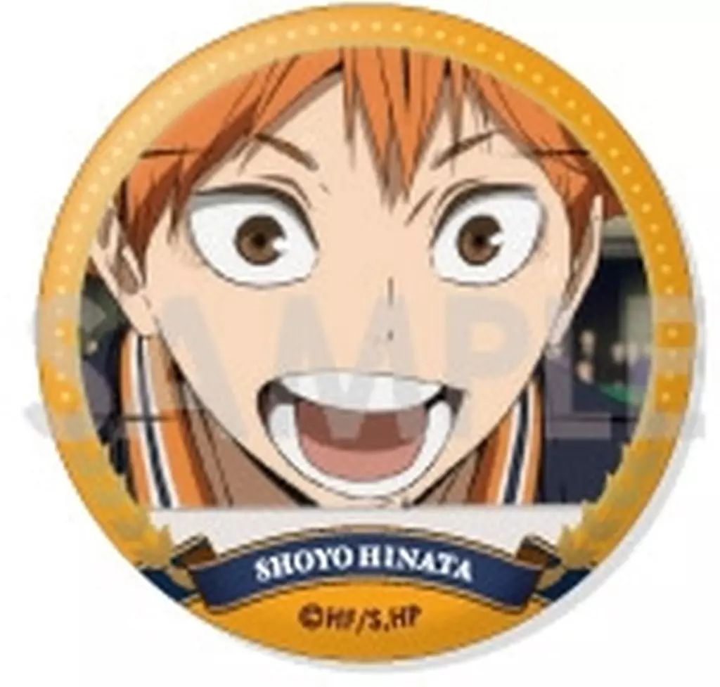 中古】バッジ・ビンズ A.日向翔陽 「ハイキュー!! トレーディング缶