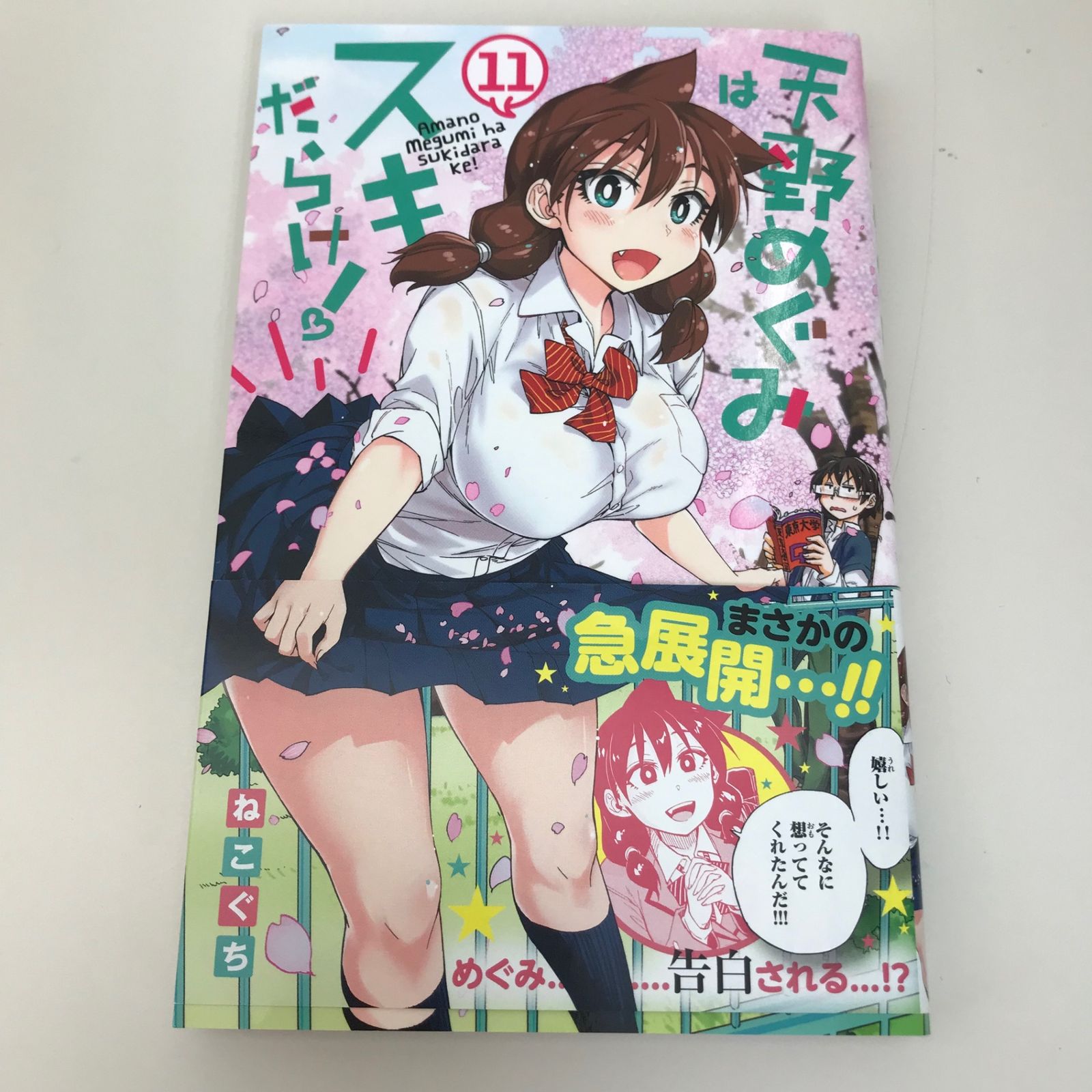 天野めぐみはスキだらけ！ 11巻/ねこぐち/GF-0225051469-YP/GF09621