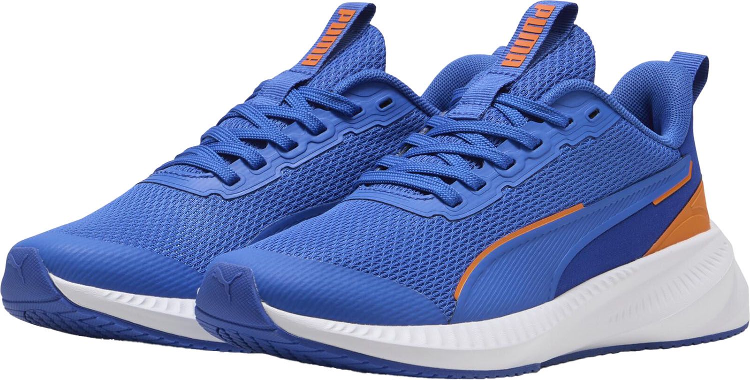 バンジャマン・ルルー エシェゾー 2013