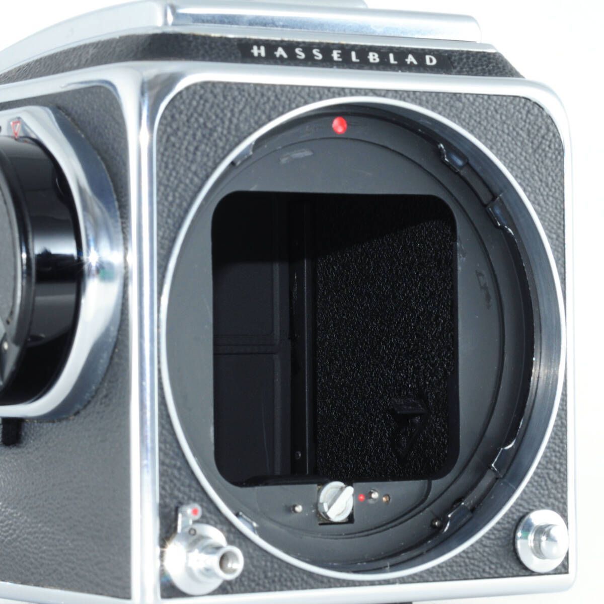 120フィルムバック付き