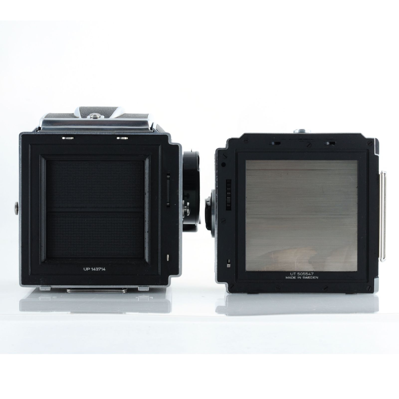 120フィルムバック付き