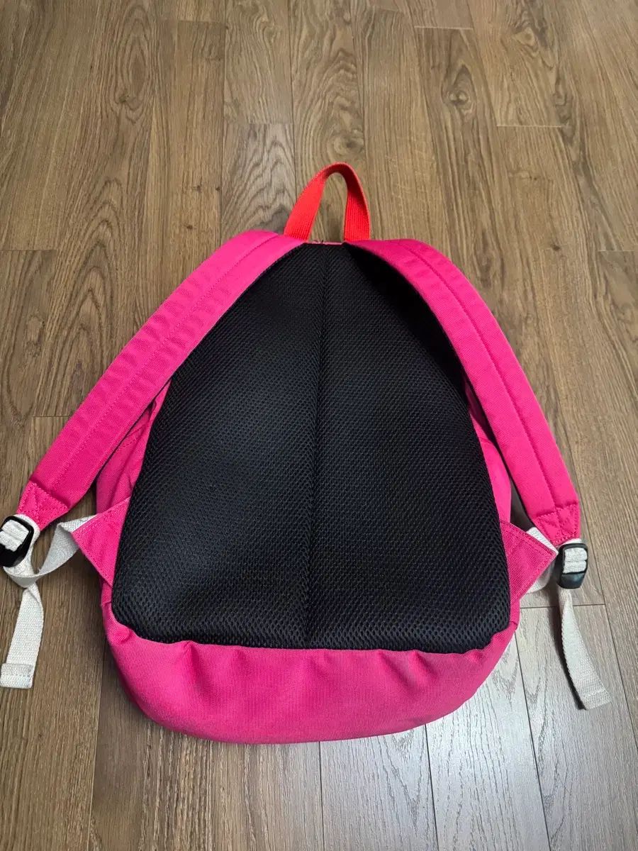 アイスビスケット バックパック 本