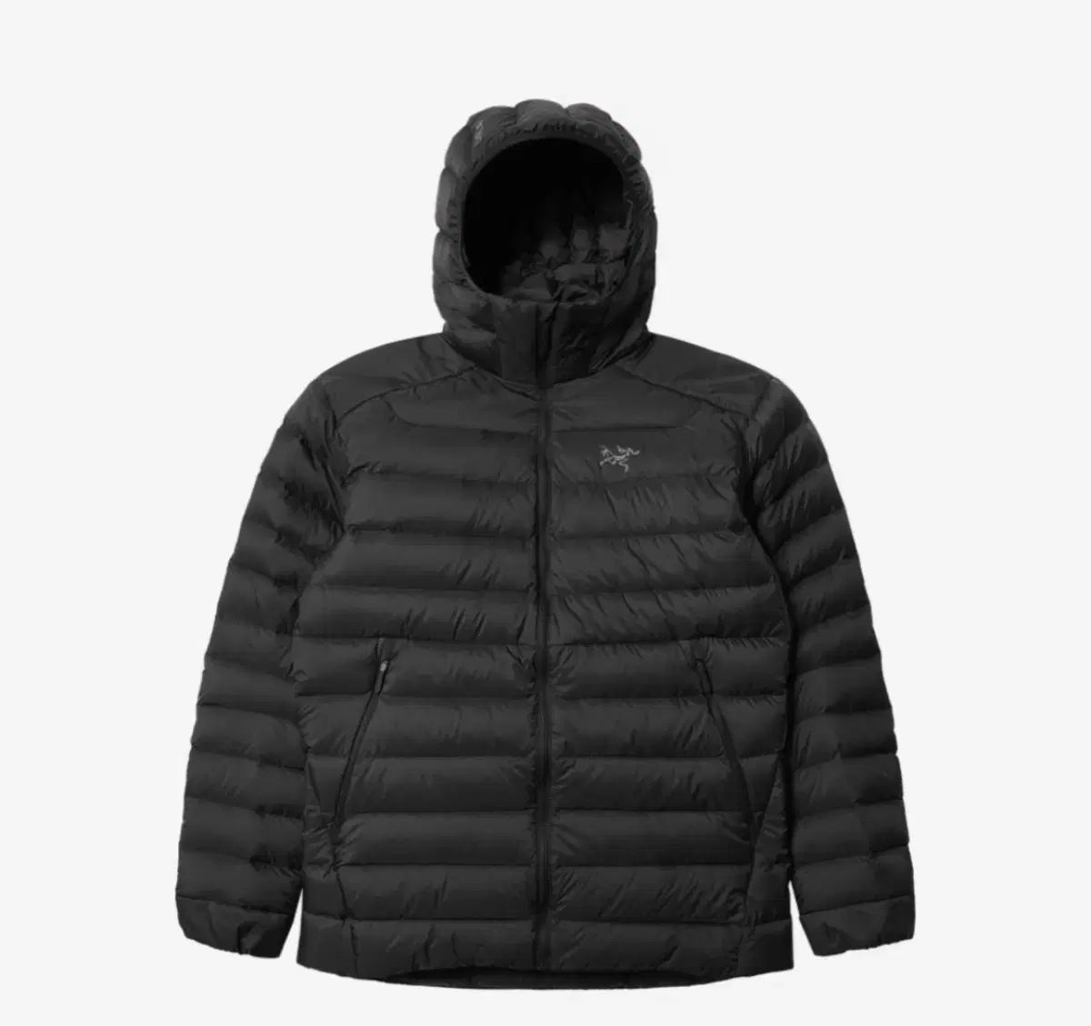 ARC TERYX Cerium アークテリクス セリウム フーディー ブラック