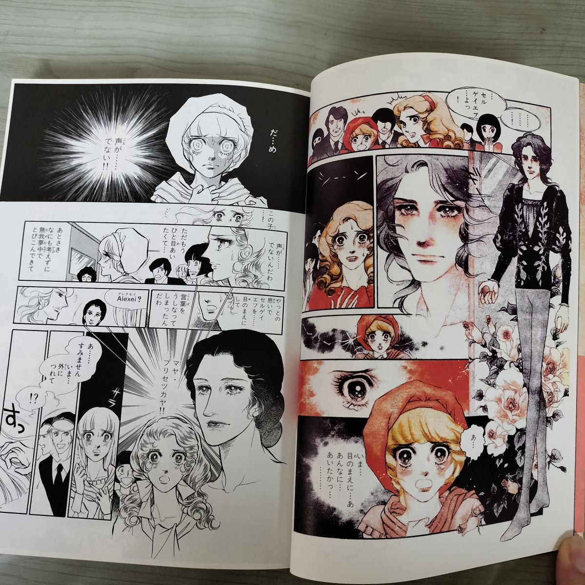 計14冊 揃い 全12巻 SWAN 白鳥 スワン ＋ 全2巻 SWAN 白鳥の祈り 有吉