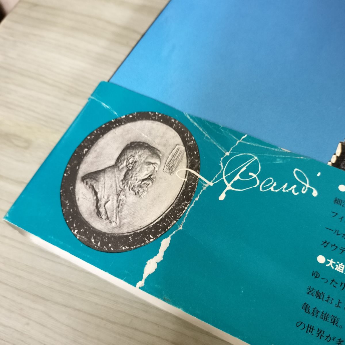 ガウディの宇宙 細江英公 集英社 写真集 210130 - メルカリ