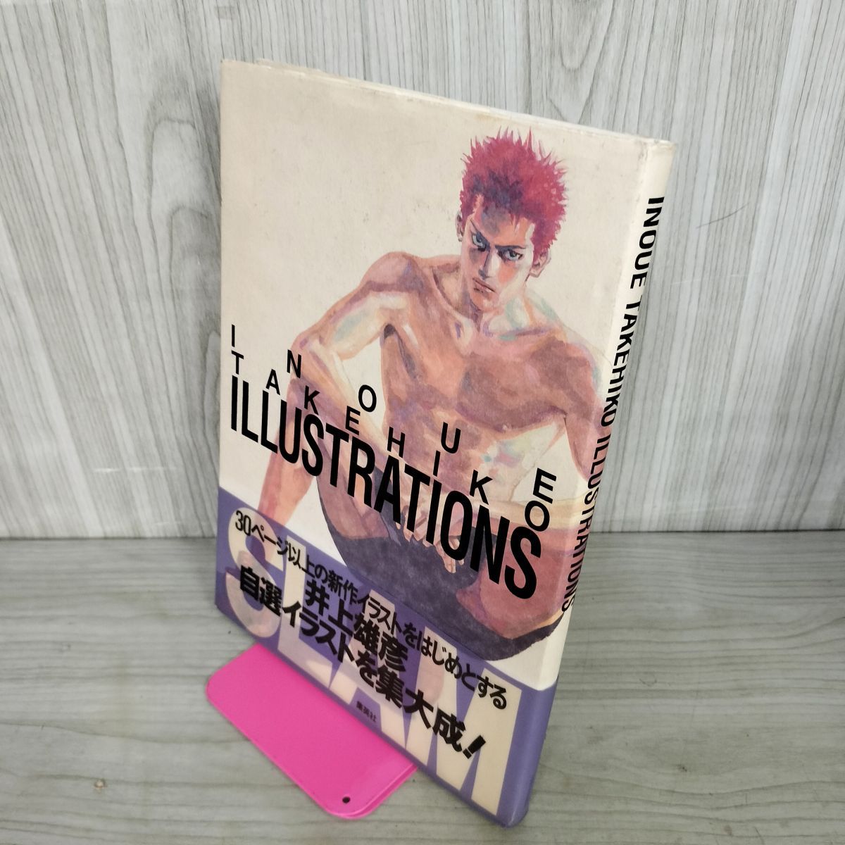 INOUE TAKEHIKO 井上雄彦 ILLUSTRATIONS SLAM DUNK スラムダンク