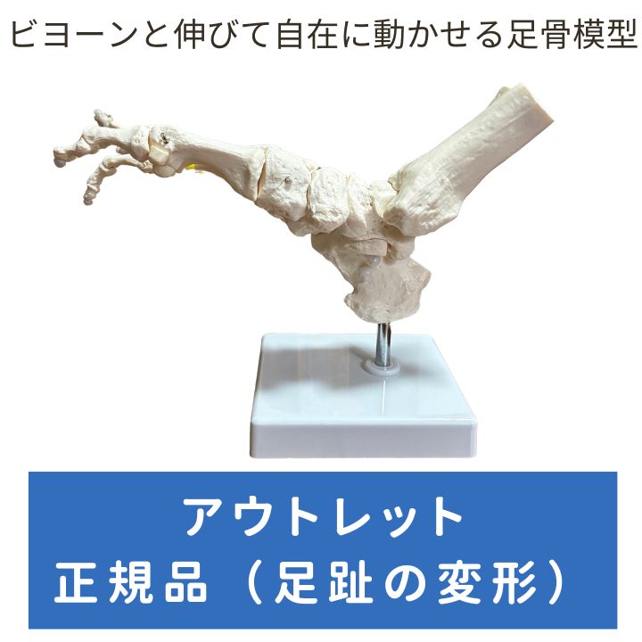 人気商品】KIYOMARU ビヨーンと伸びて全ての骨を自由に動かせる足関節