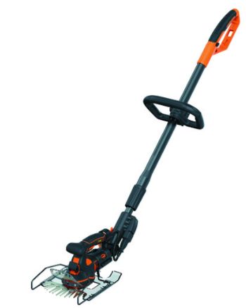 B D JP ﾎﾟｰﾙﾍｯｼﾞ 芝生ﾊﾞﾘｶﾝ N