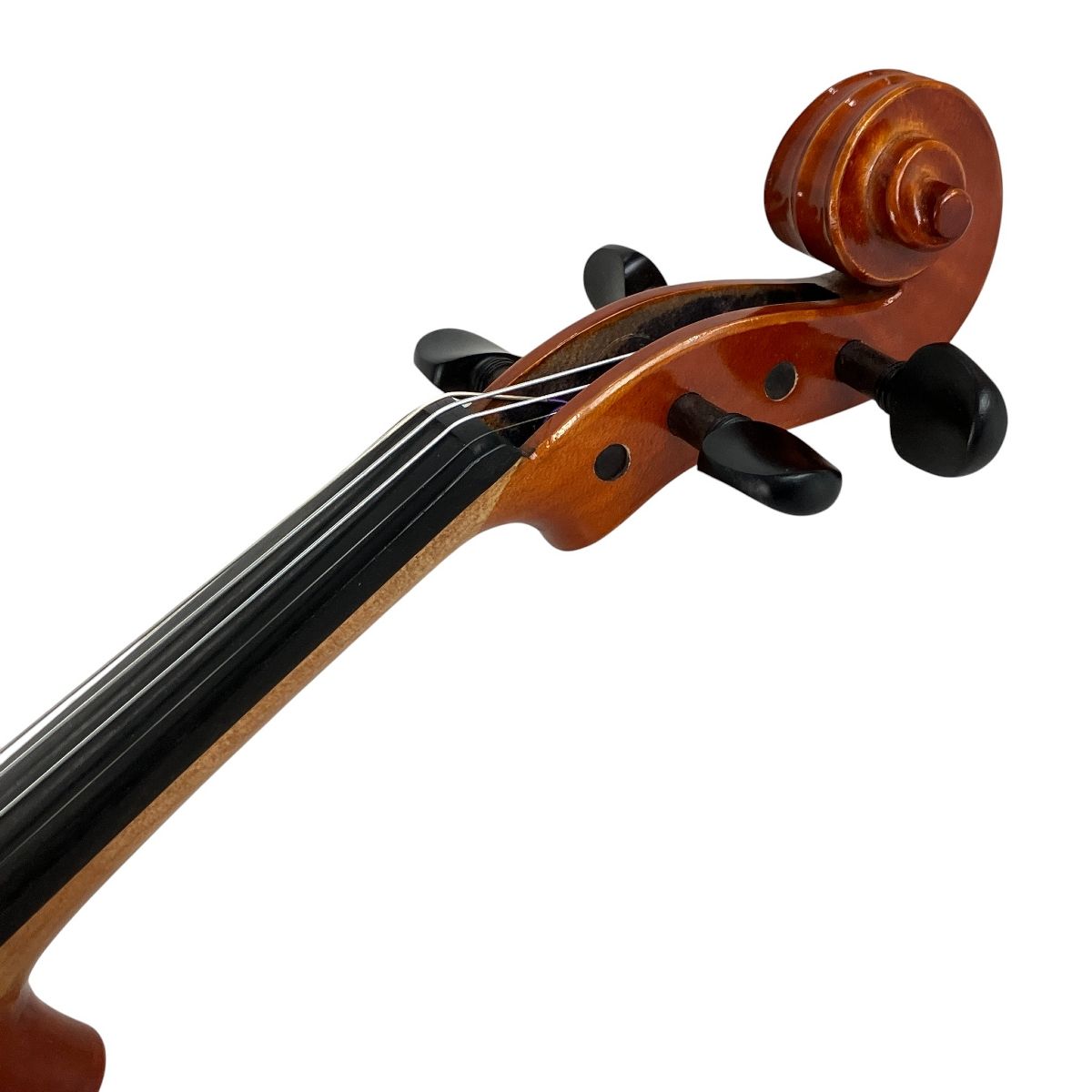 Eastman Strings VL 80 バイオリン 4|4 2025年製