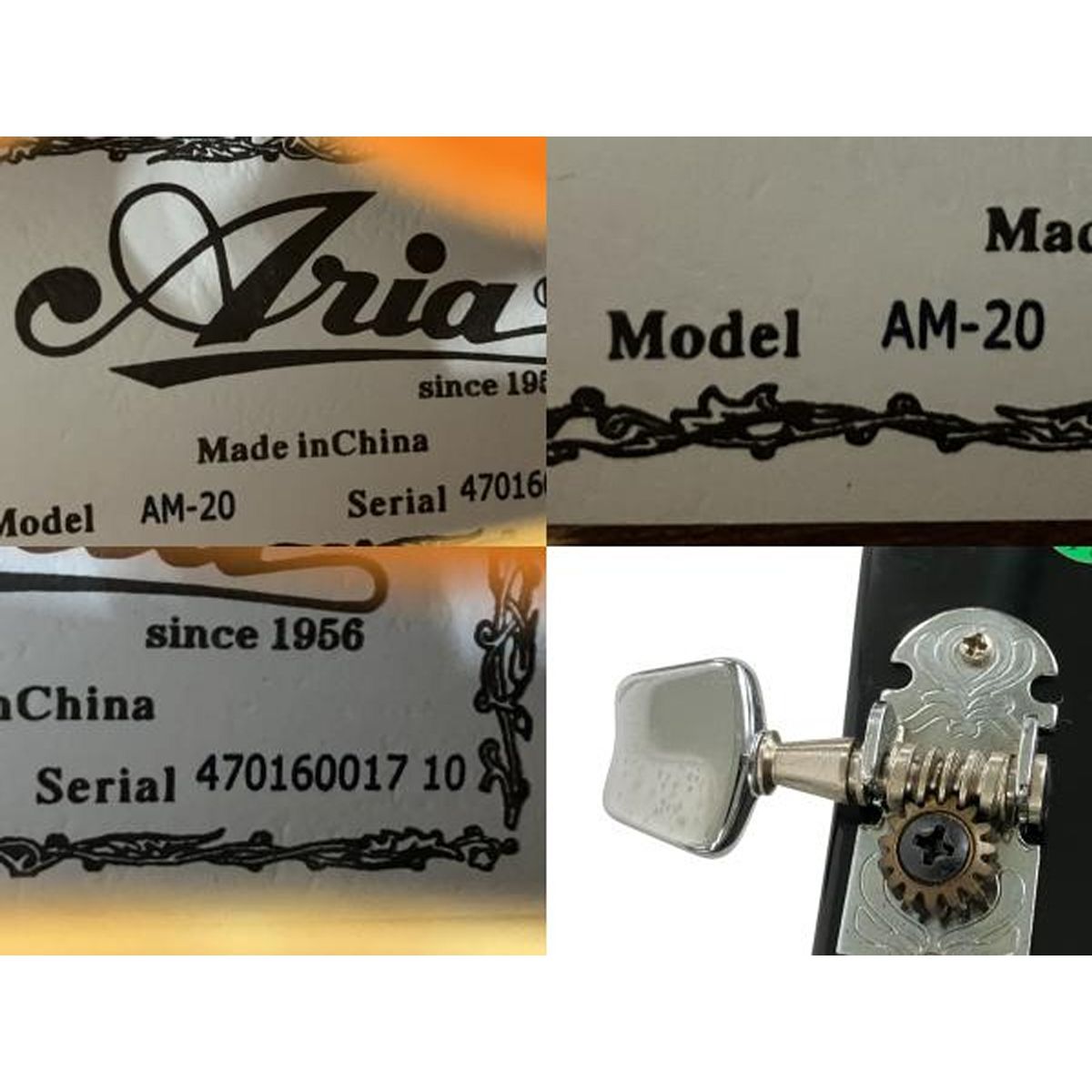 Aria AM-20 フラット マンドリン ケース付 中古 Y10618068 - メルカリ