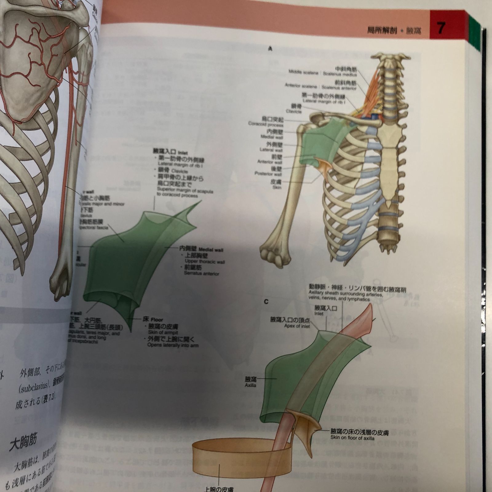 b]グレイ解剖学 原著第3版 電子書籍(日本語版・英語版)付 Richard