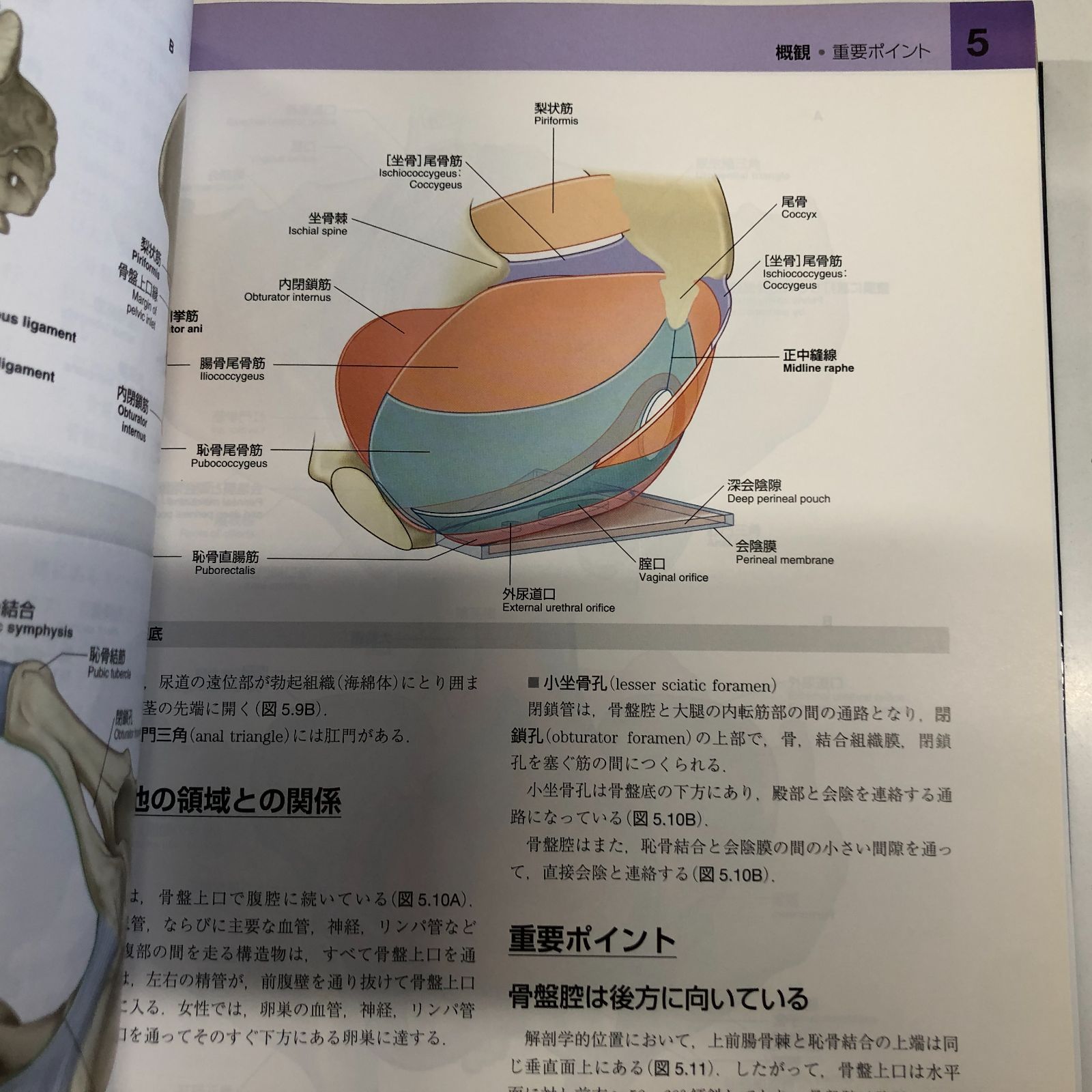 b]グレイ解剖学 原著第3版 電子書籍(日本語版・英語版)付 Richard