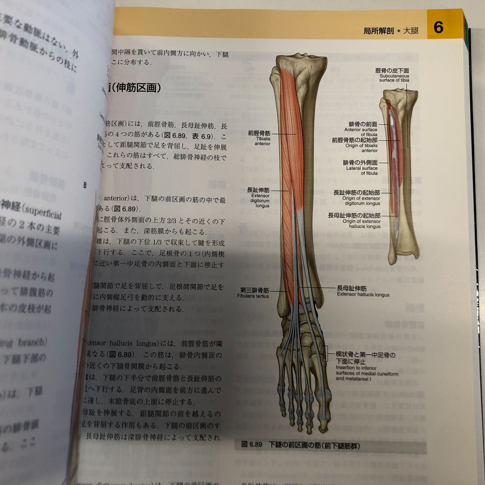 b]グレイ解剖学 原著第3版 電子書籍(日本語版・英語版)付 Richard