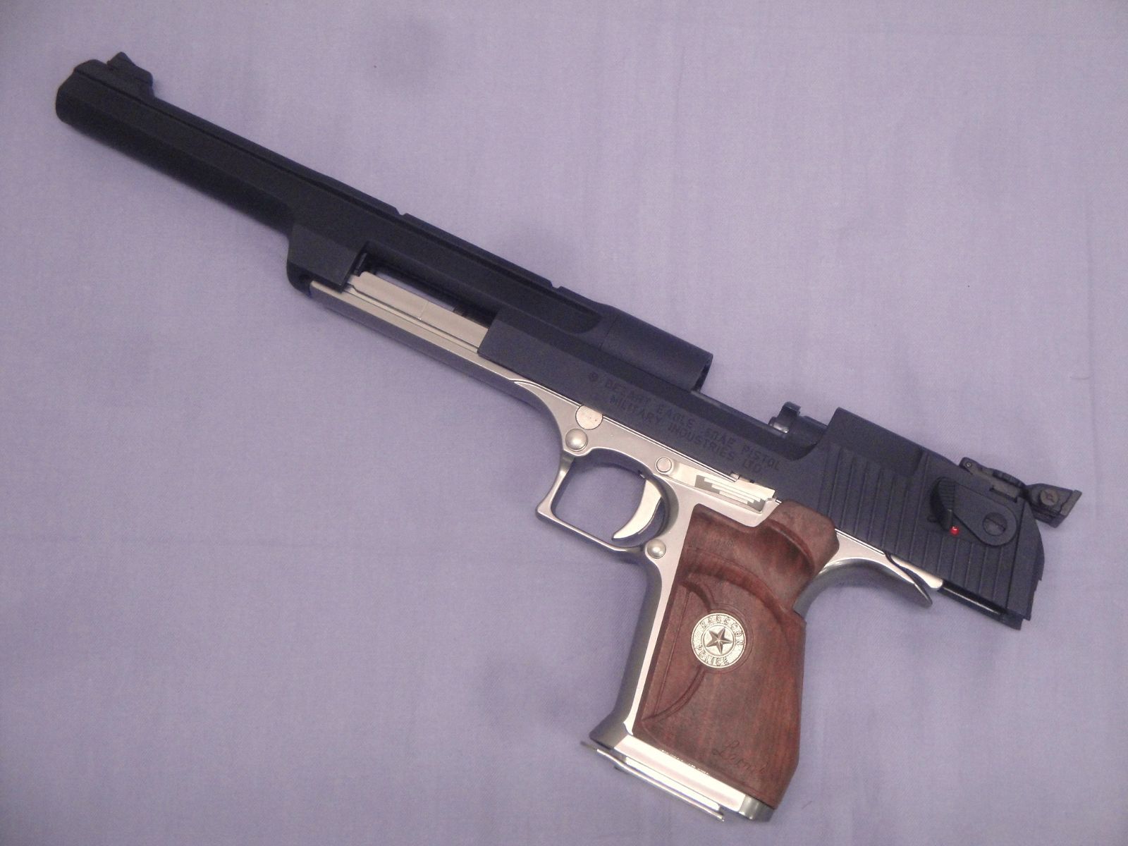 バイオハザード2モデル 10