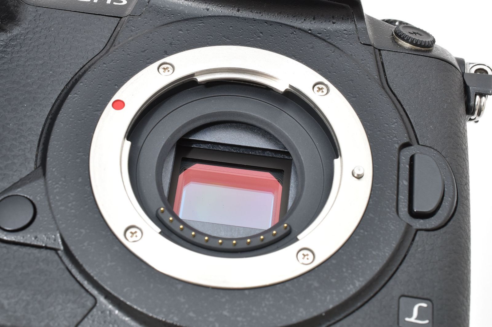 美品】Panasonic パナソニック LUMIX DC-GH5 ボディ シャッター数1330