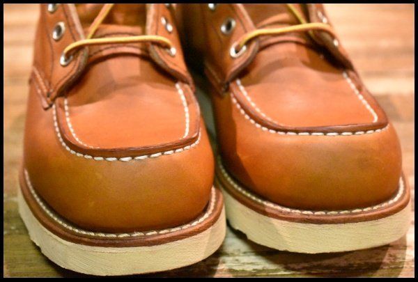 アイリッシュセッター