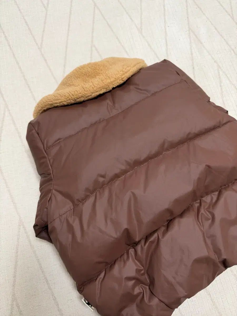 ミニロディーニ ドッグ