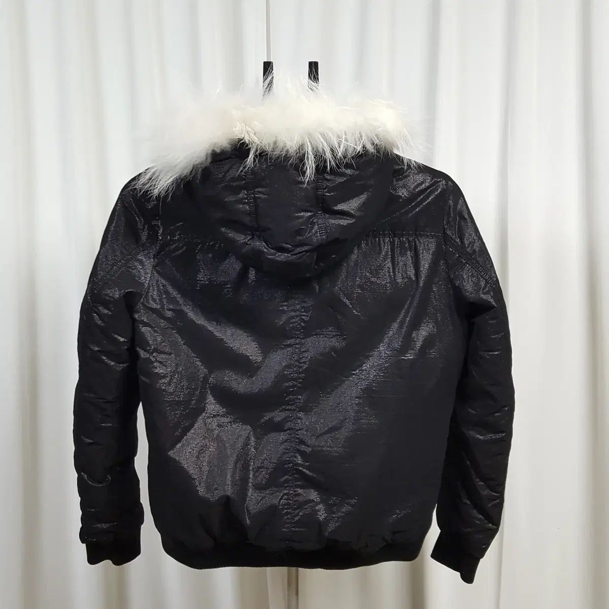 マスターバニーエディション