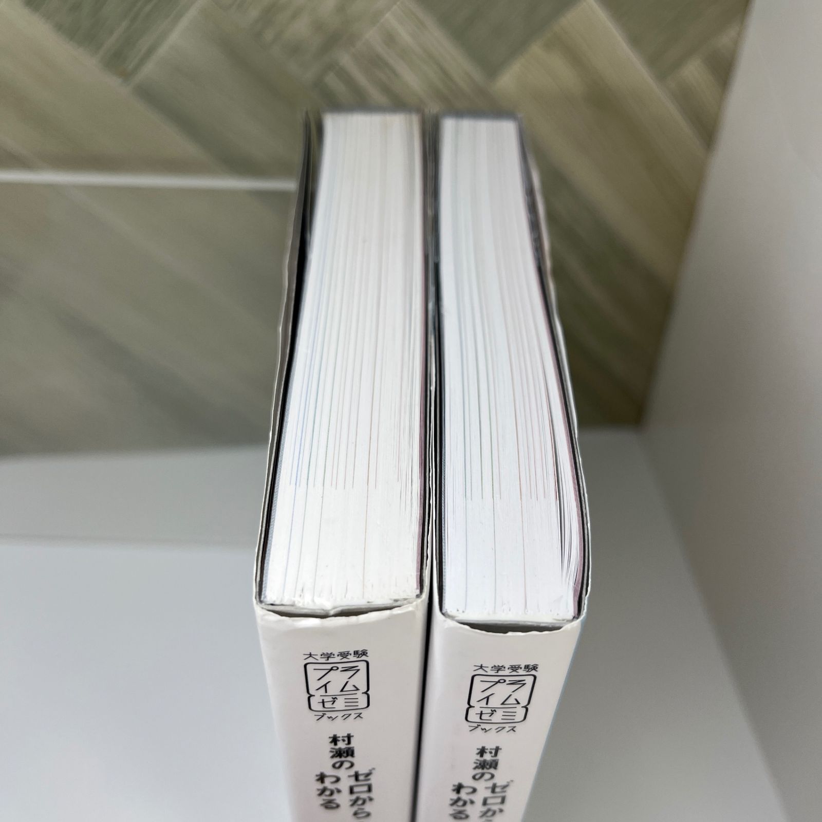 No.181 村瀬のゼロからわかる地理B 地誌編 系統地理編 2冊セット