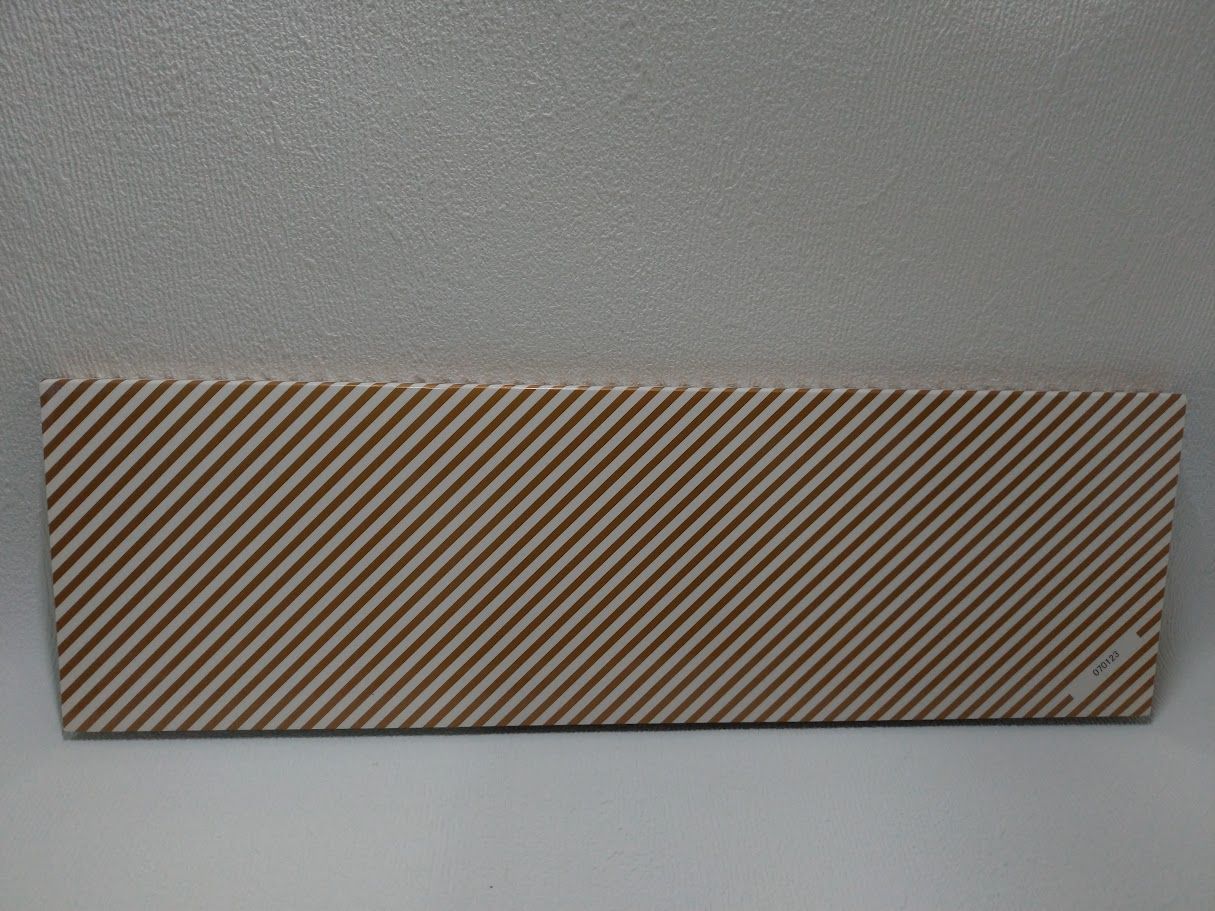 福山雅治/FUKUYAMA MASAHARU WE'RE BROS.TOUR 2007 LIVE DVD SPECIAL