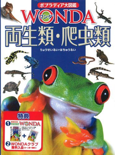 両生類・爬虫類 (ポプラディア大図鑑WONDA) - メルカリ