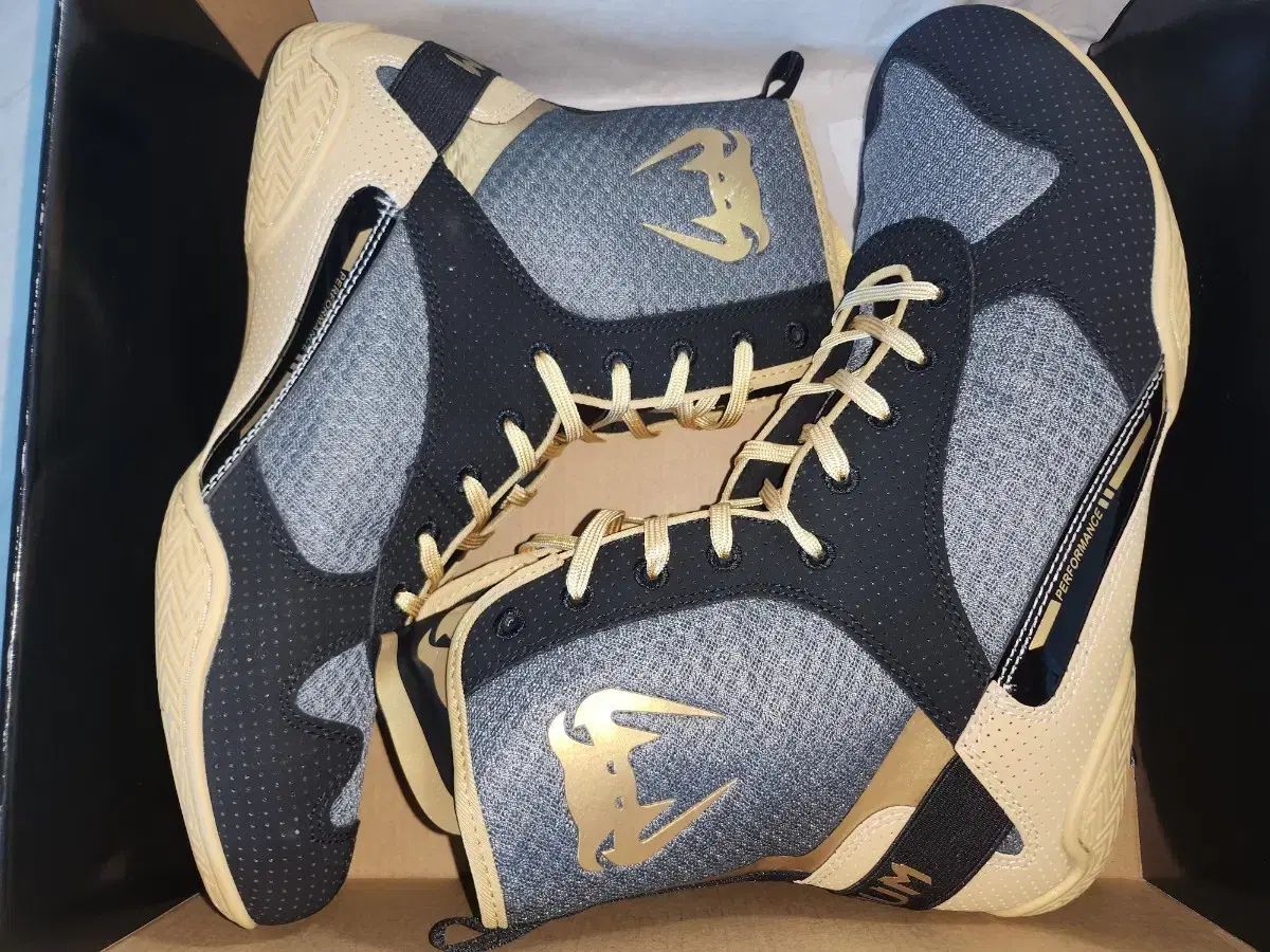 ASICS レスリングシューズ 26.0（ボクシング対応可） ASICS レスリングシューズ 26.0（ボクシング対応可） レスリング