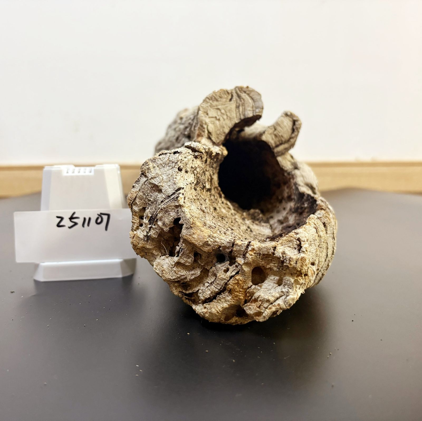 251107 ポルトガル産 キャノンコルク コルク樹皮 コルク板 バージン