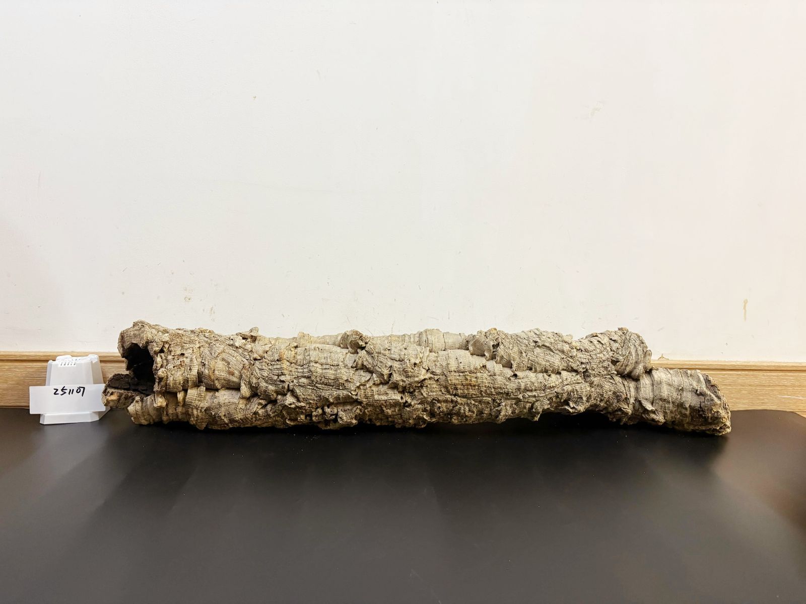 251105 ポルトガル産 キャノンコルク コルク樹皮 コルク板　バージンコルク W451 ポルトガル産 キャノンコルク コルク樹皮 コルク板 バージン