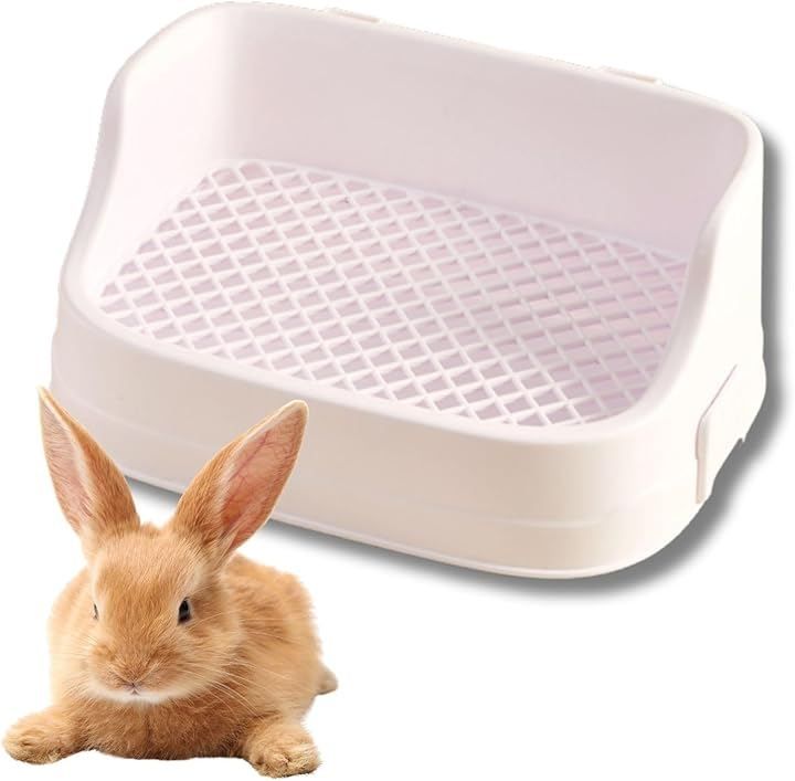 カオス ChaosTCG 世間知らず「風見みずほ」 PSA10