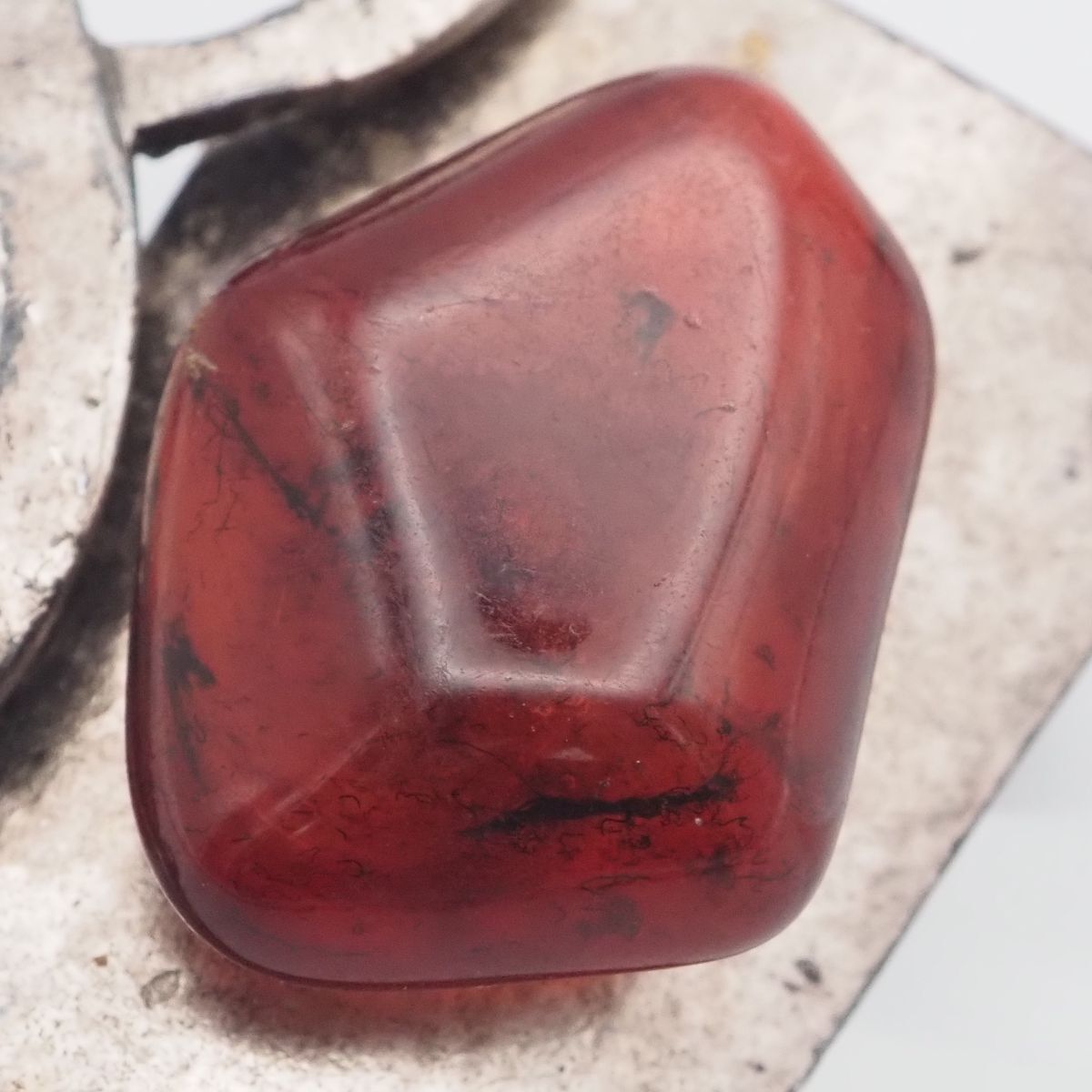 Delphine Nardin Paris デルフィーヌ・ナルダン 2点 Delphine nardin