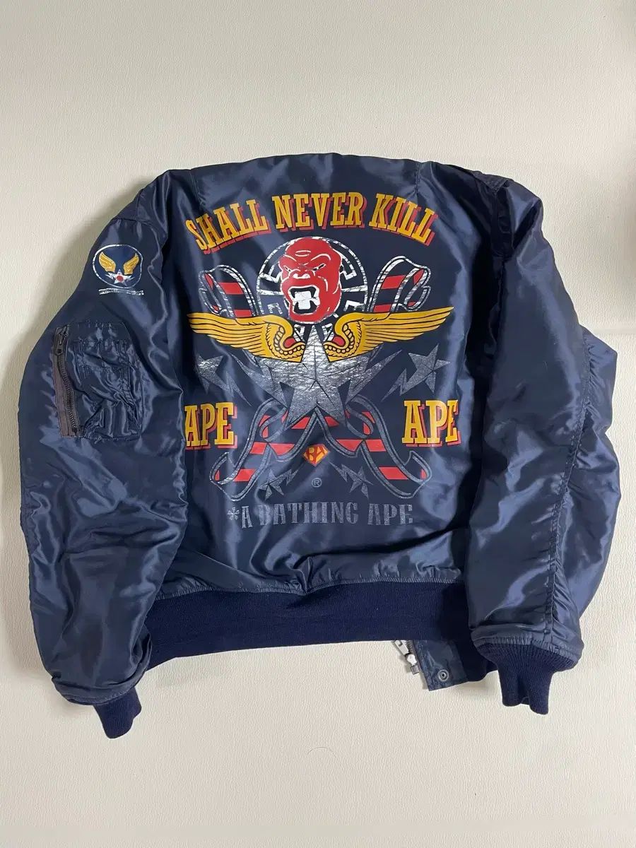 06 AW アベイシングエイプ x ザ リアルマッコイズ L 2 B ジャケット
