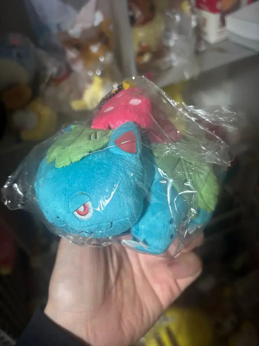 セール 日本이상해꽃キーホルダー出品 🫧Flower Knows ミニチュア